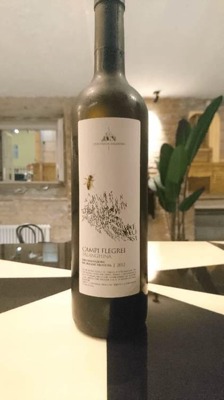Campi Flegrei Falanghina - Contrada Salandra - Giuseppe Fortunato 