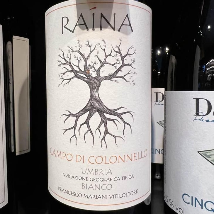Campo di Colonnello - Raína - Francesco Mariani -2022
