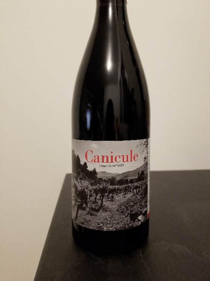 Canicule - Castelmaure - Castelmaure SCV	(Coopérative) 