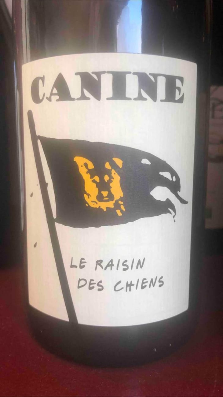 Canine (le raisin des chiens) - Le Batossay - Baptiste Cousin 