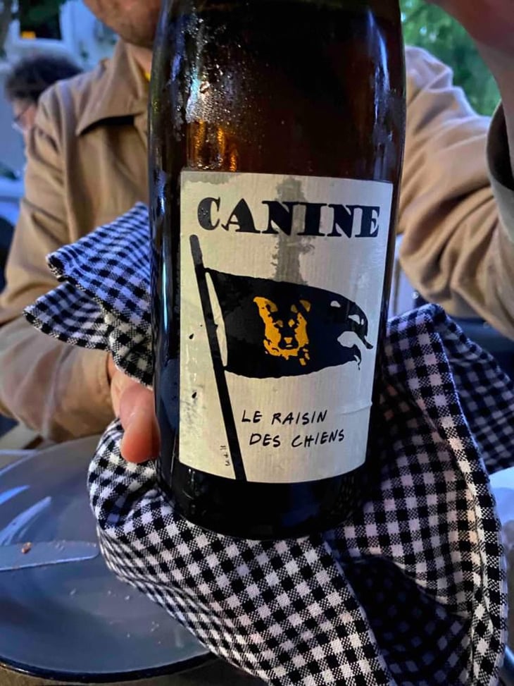 Canine (le raisin des chiens) - Le Batossay - Baptiste Cousin 