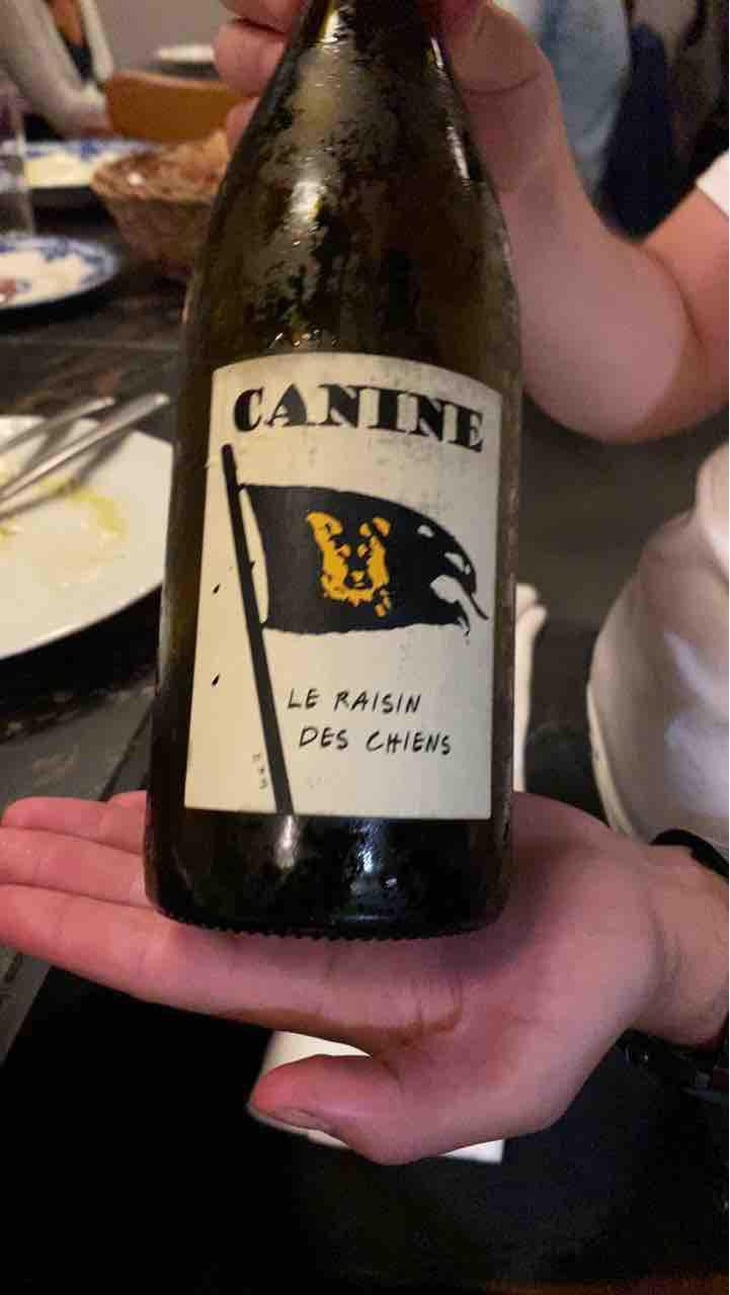 Canine (le raisin des chiens) - Le Batossay - Baptiste Cousin 