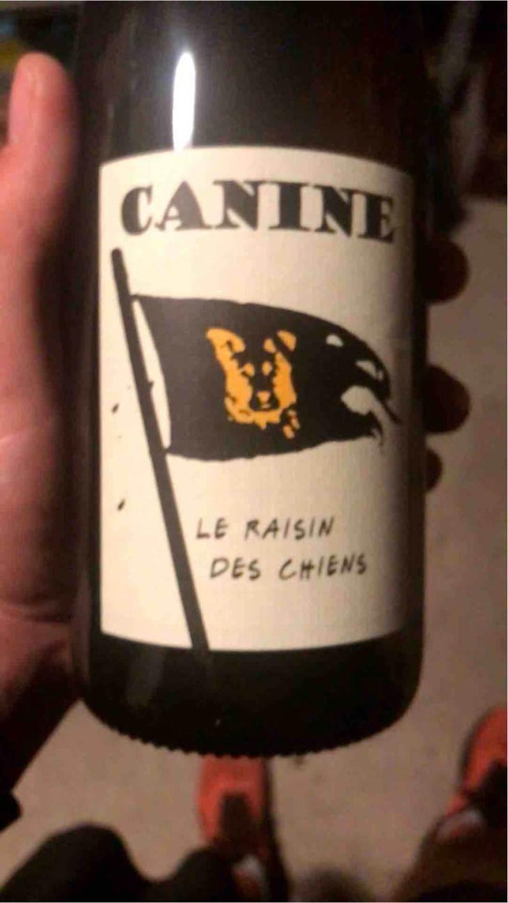 Canine (le raisin des chiens) - Le Batossay - Baptiste Cousin 