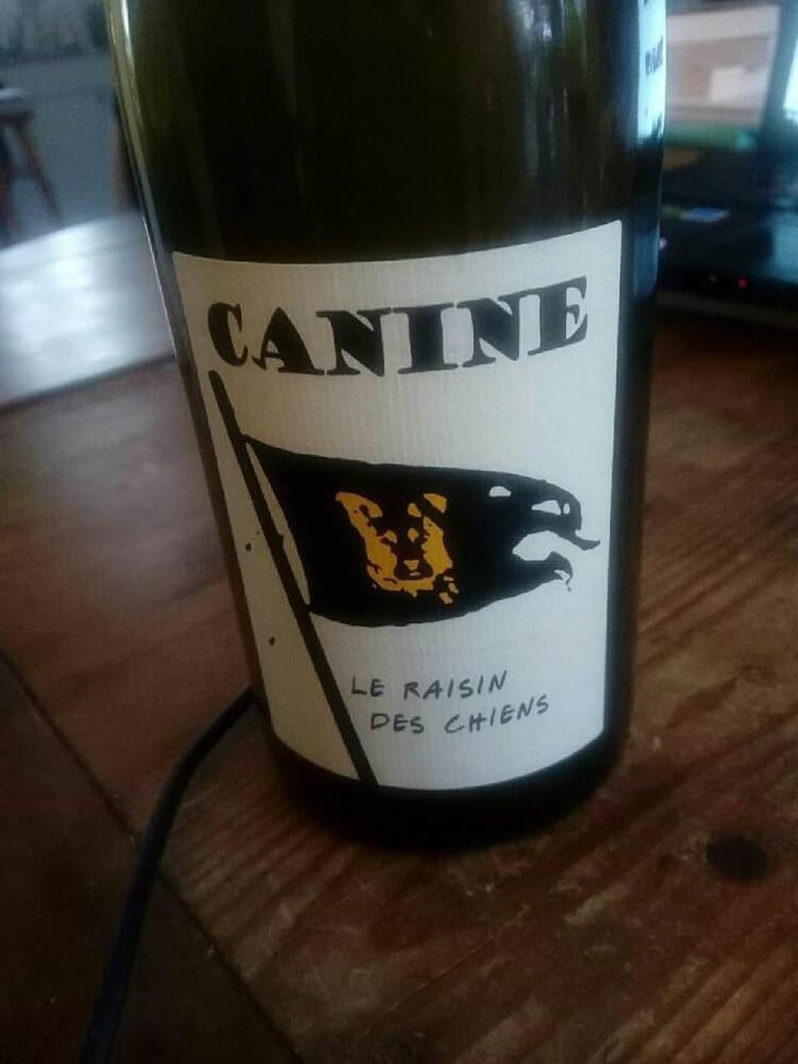 Canine (le raisin des chiens) - Le Batossay - Baptiste Cousin 