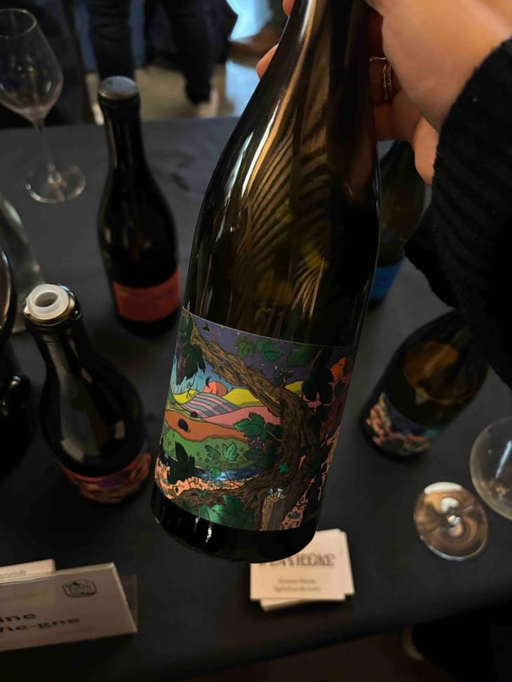Canopée - Domaine De L’Enviegne - Alexis Tondeur 