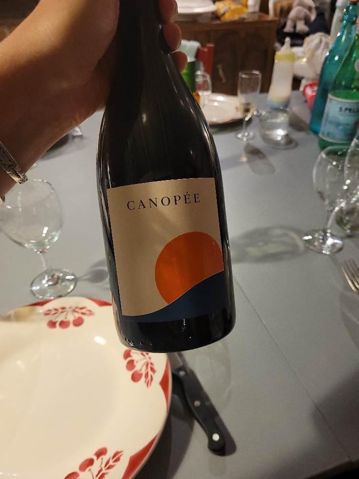 Canopée - Vignobles David - Frédéric David -2021