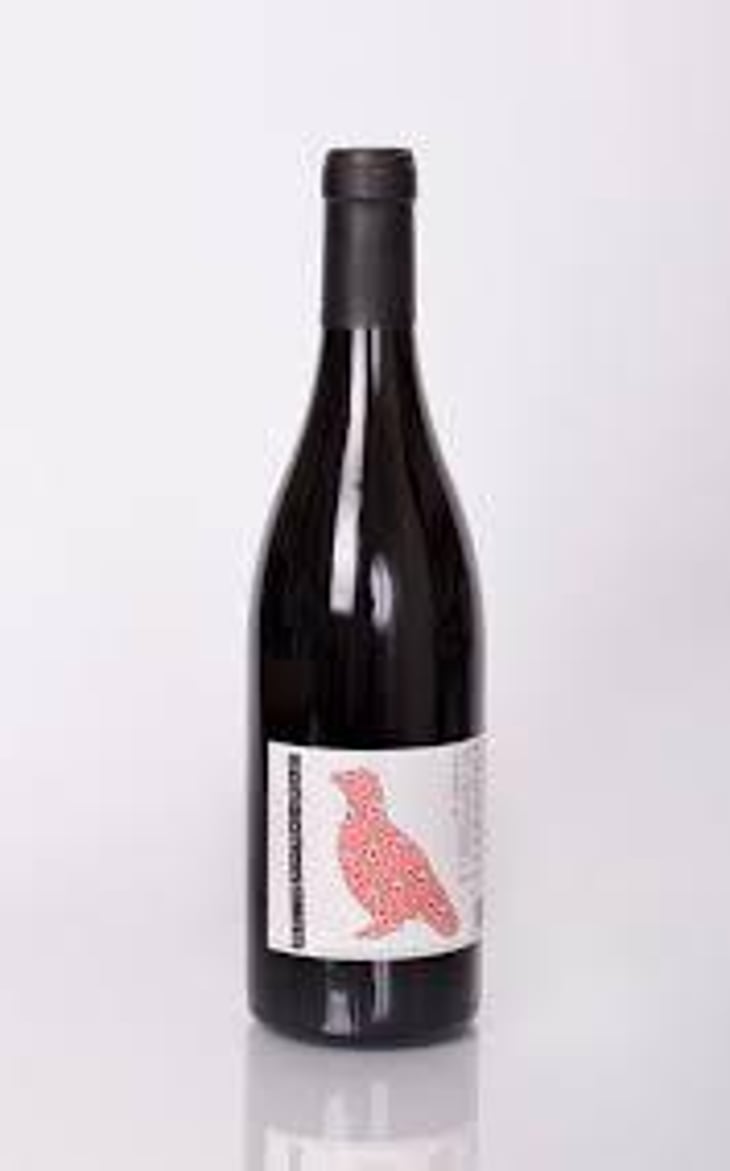 Cantaperdius - Celler 9+ - Moises Virgili i Rovira 