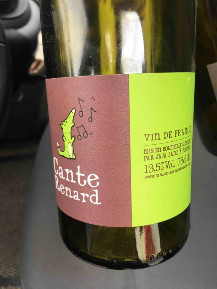 Cante Renard Blanc - Jaja Land - Philippe Pibarot 