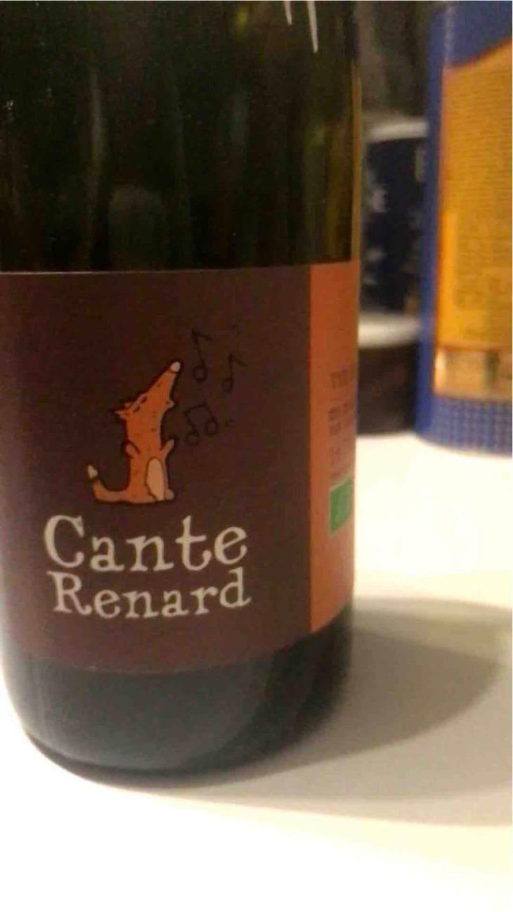 Cante Renard Blanc - Jaja Land - Philippe Pibarot 