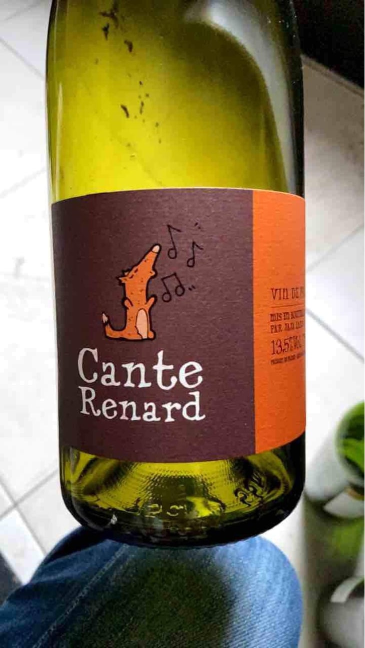 Cante Renard Blanc - Jaja Land - Philippe Pibarot 