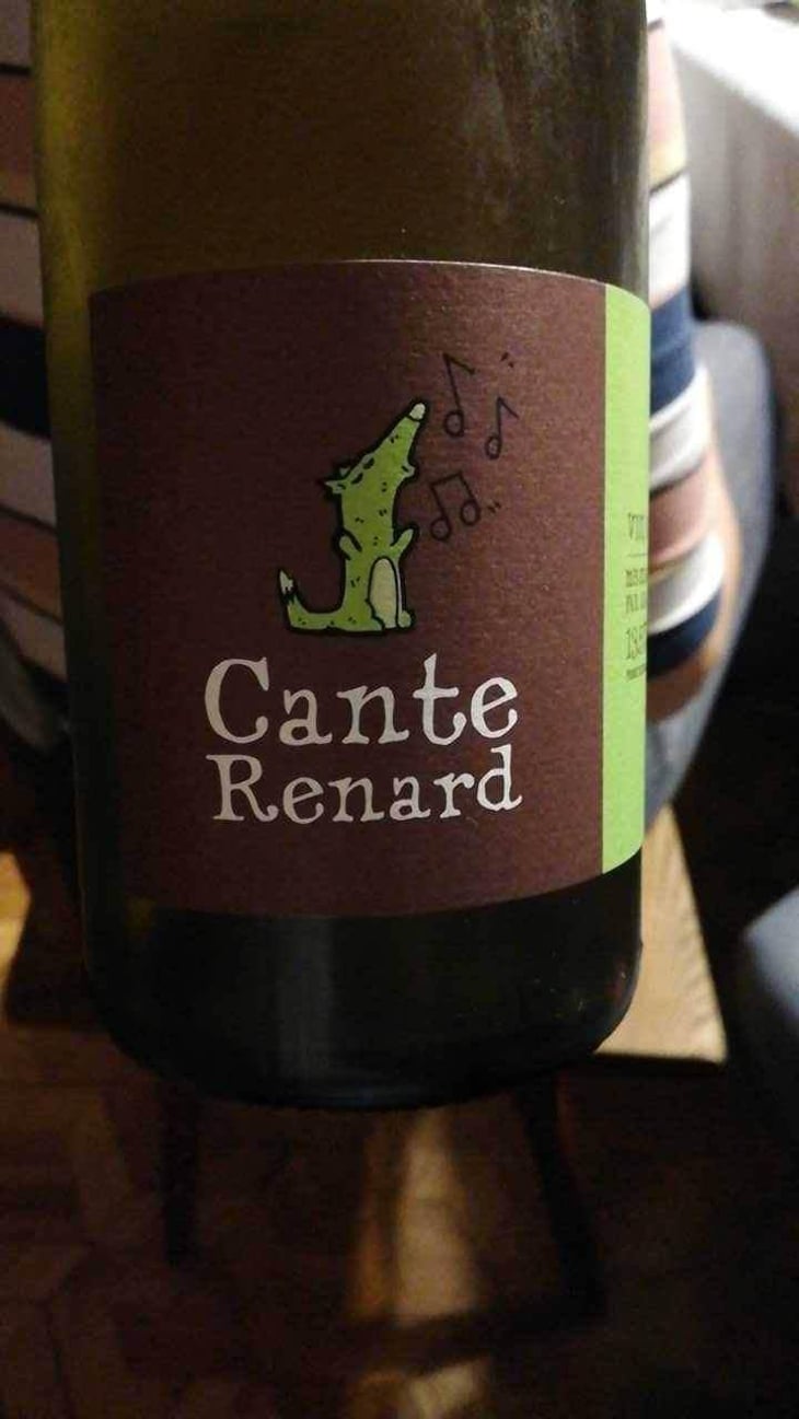 Cante Renard Blanc - Jaja Land - Philippe Pibarot 