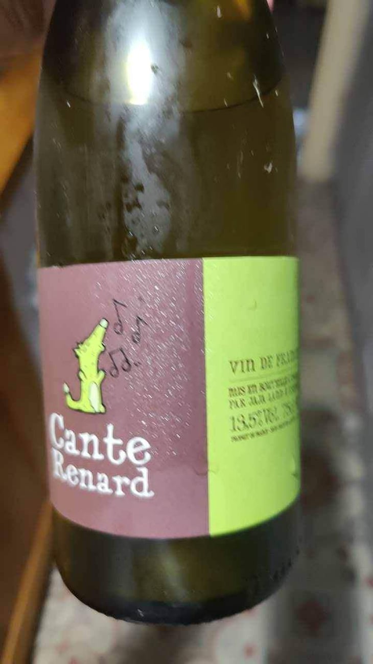 Cante Renard Blanc - Jaja Land - Philippe Pibarot 