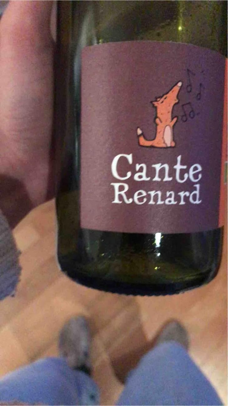 Cante Renard Blanc - Jaja Land - Philippe Pibarot 