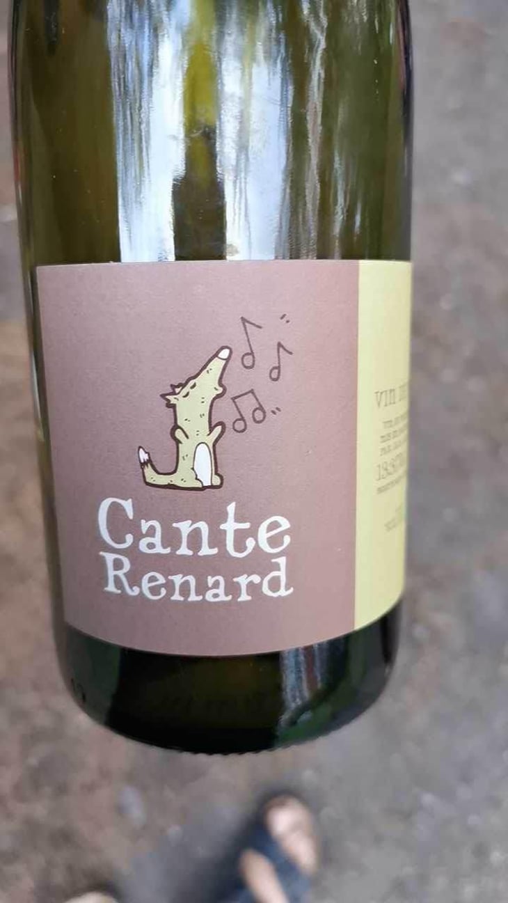 Cante Renard Blanc - Jaja Land - Philippe Pibarot 