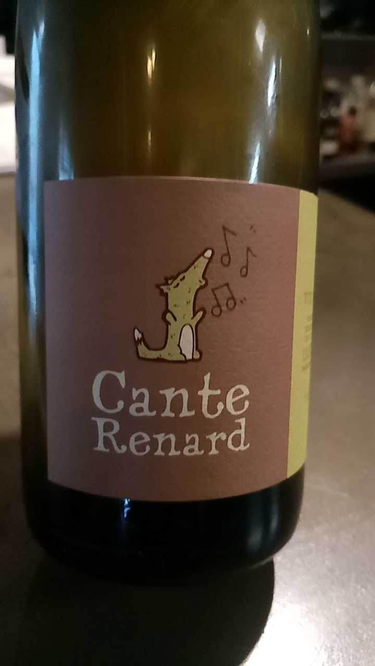 Cante Renard Blanc - Jaja Land - Philippe Pibarot 