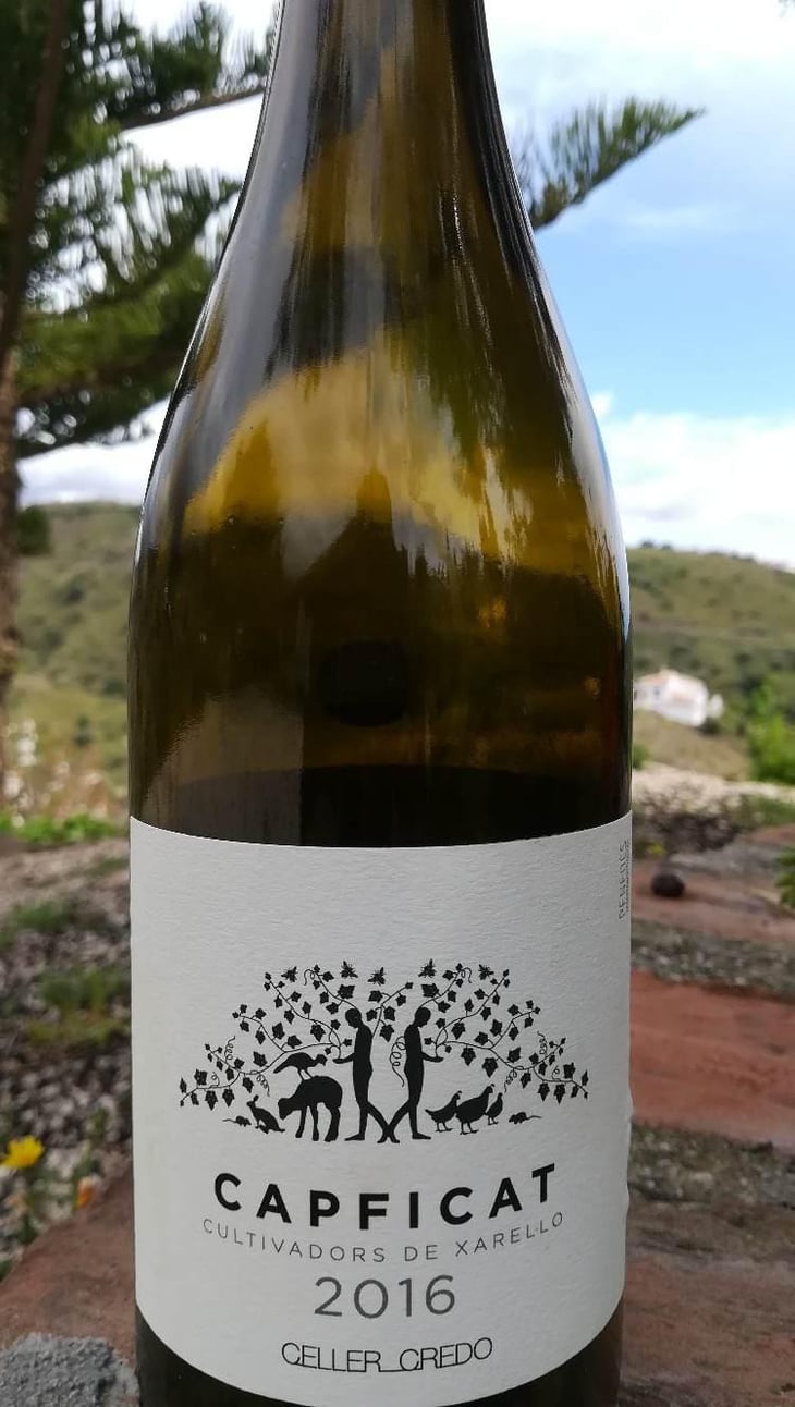 Capficat - Celler Credo - Ton Mata Moliner 