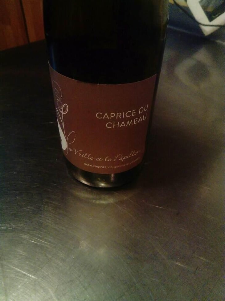 Caprice du Chameau - La Vrille et le Papillon - Géraldine & Méryl Croizier 