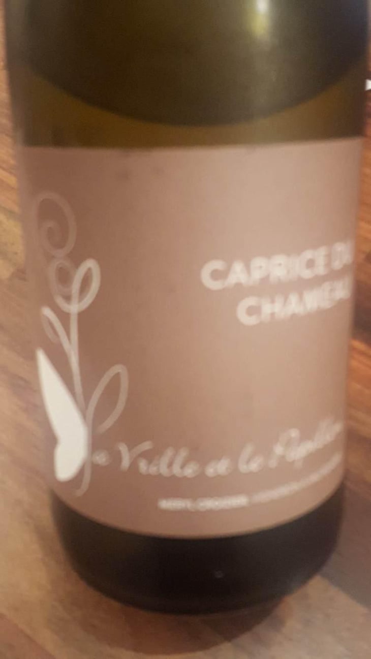 Caprice du Chameau - La Vrille et le Papillon - Géraldine & Méryl Croizier 