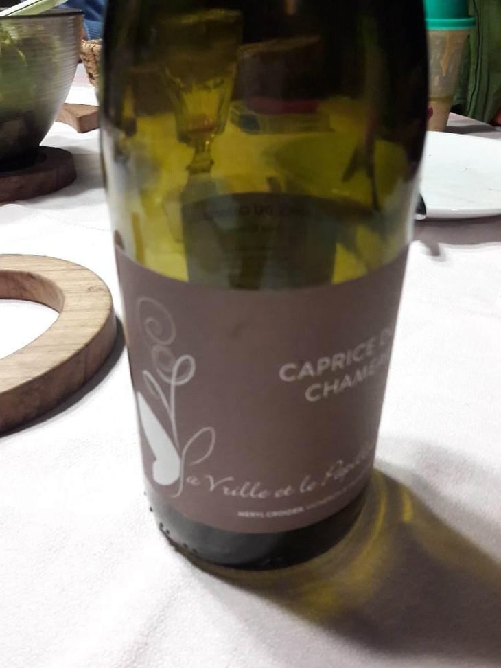 Caprice du Chameau - La Vrille et le Papillon - Géraldine & Méryl Croizier 