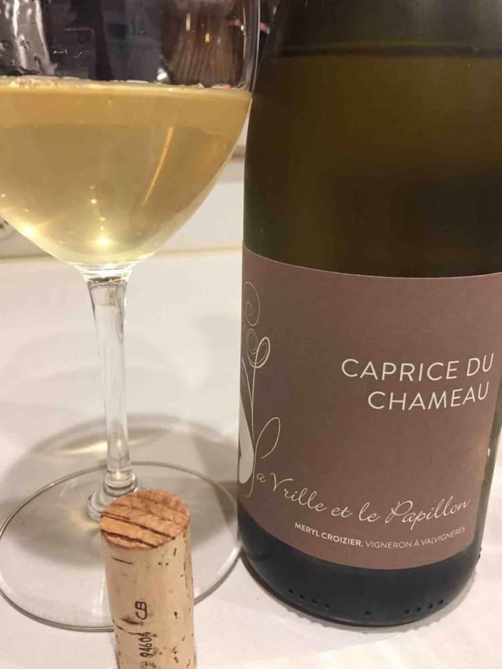 Caprice du Chameau - La Vrille et le Papillon - Géraldine & Méryl Croizier 