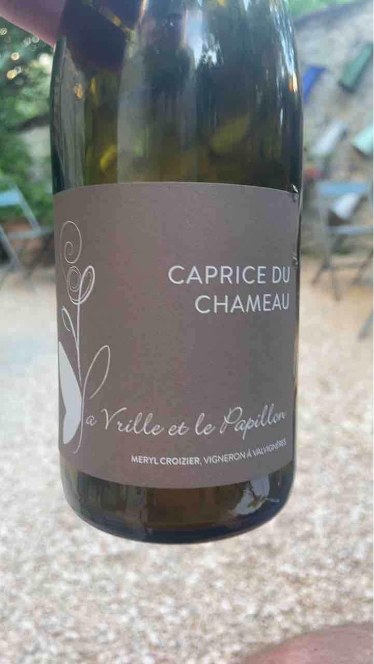 Caprice du Chameau - La Vrille et le Papillon - Géraldine & Méryl Croizier 