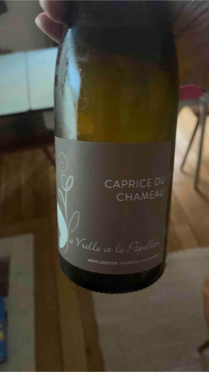 Caprice du Chameau - La Vrille et le Papillon - Géraldine & Méryl Croizier 