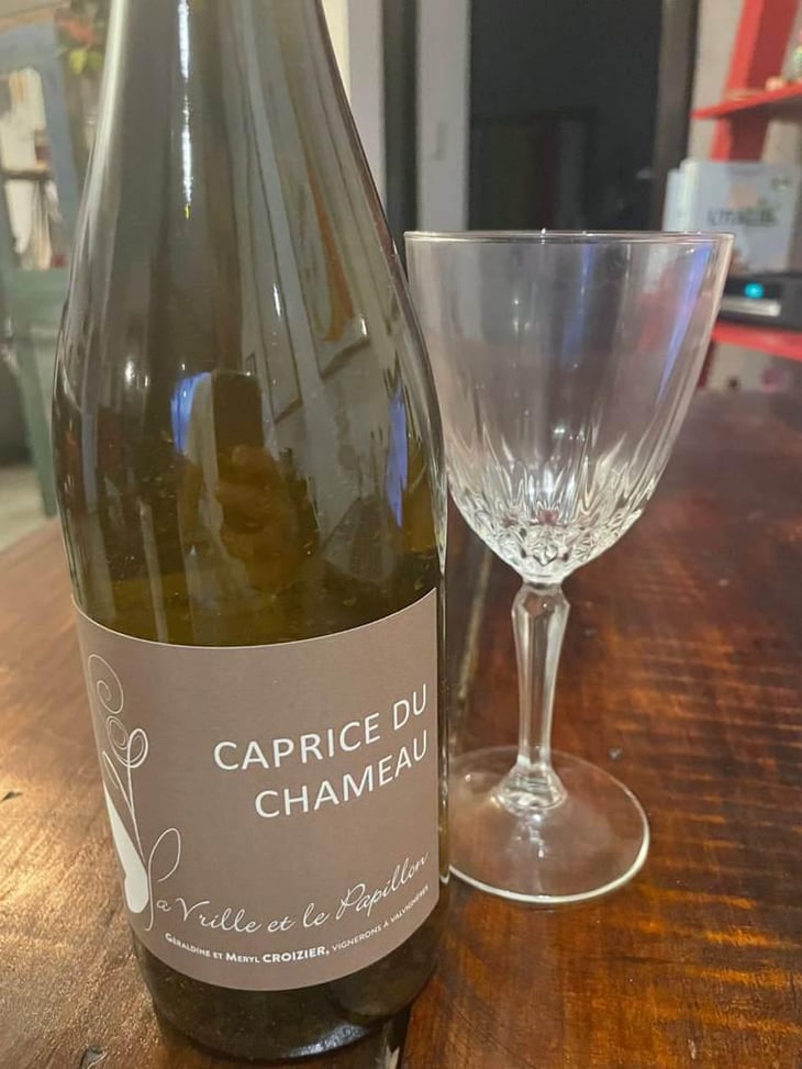 Caprice du Chameau - La Vrille et le Papillon - Géraldine & Méryl Croizier 