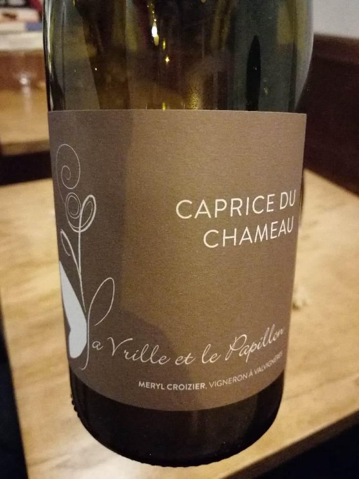 Caprice du Chameau - La Vrille et le Papillon - Géraldine & Méryl Croizier 