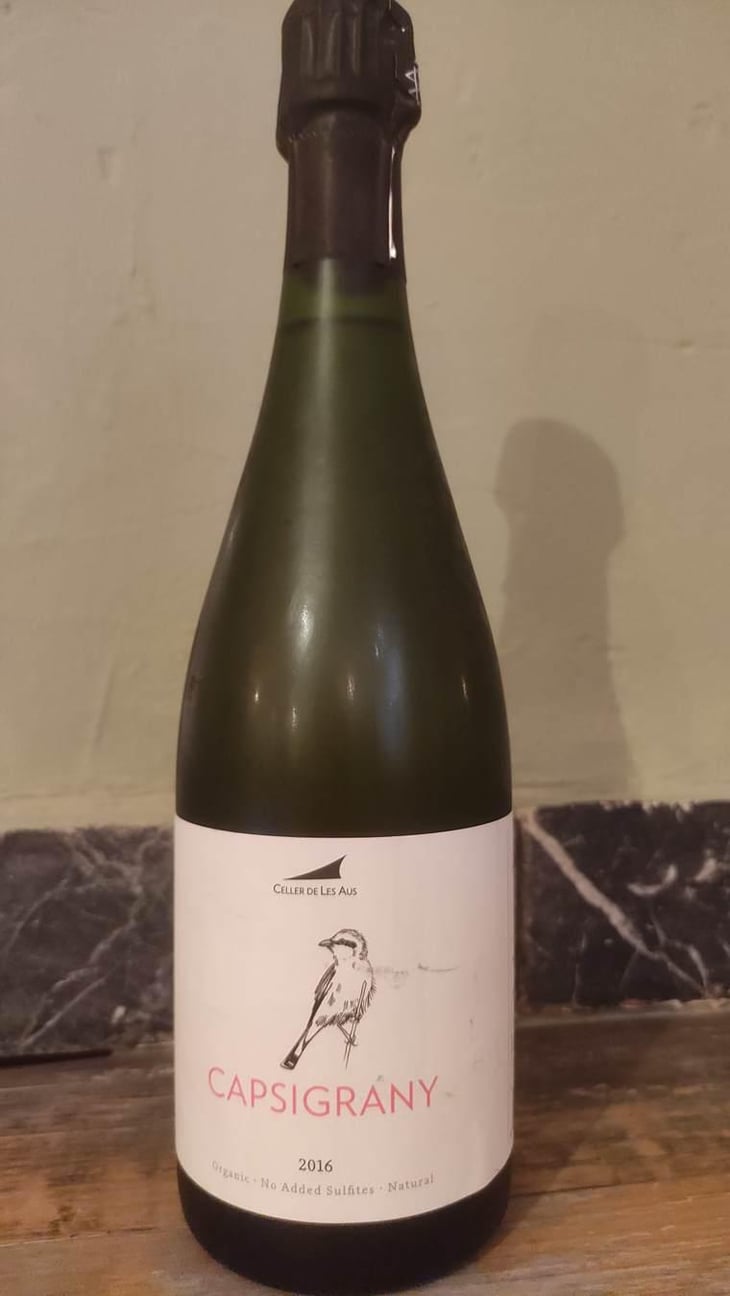 Capsigrany - El Celler de les Aus - Josep Maria & Mireia Pujol-Busquets 