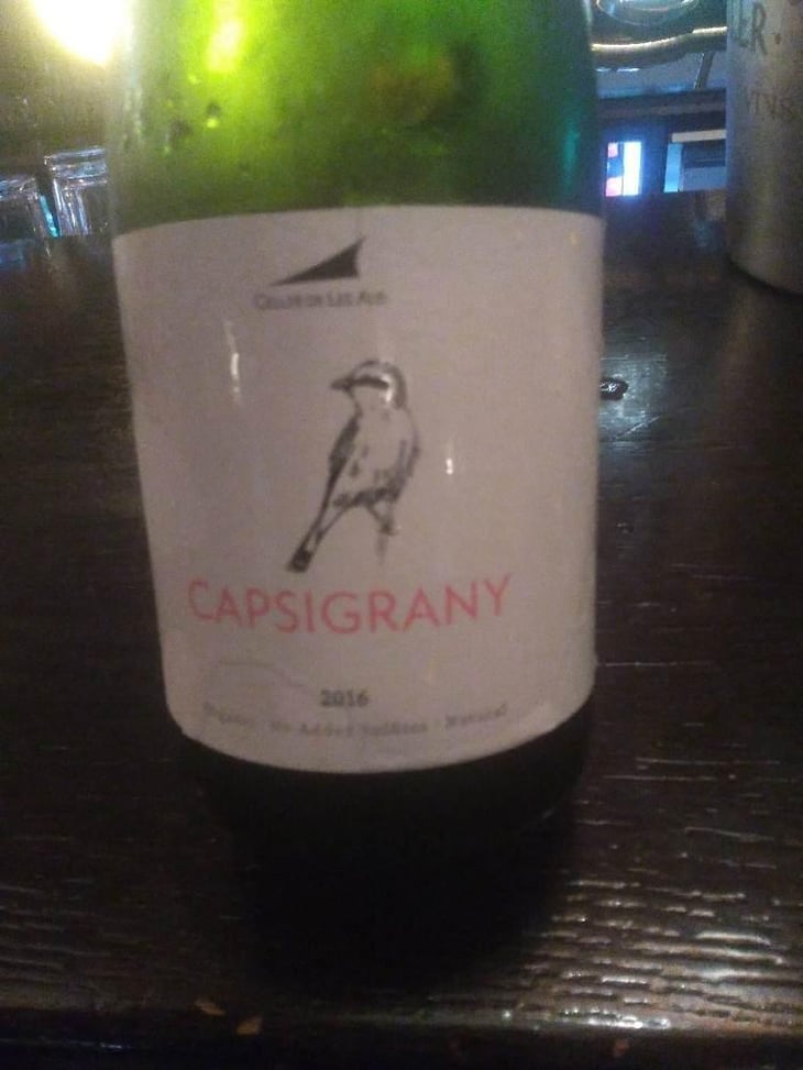 Capsigrany - El Celler de les Aus - Josep Maria & Mireia Pujol-Busquets 