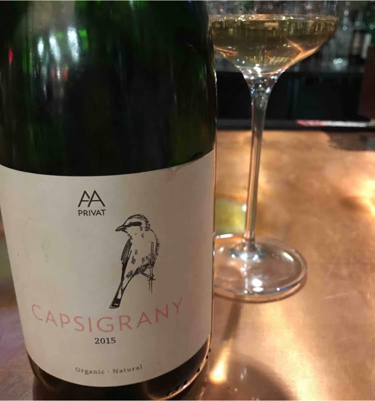 Capsigrany - El Celler de les Aus - Josep Maria & Mireia Pujol-Busquets 