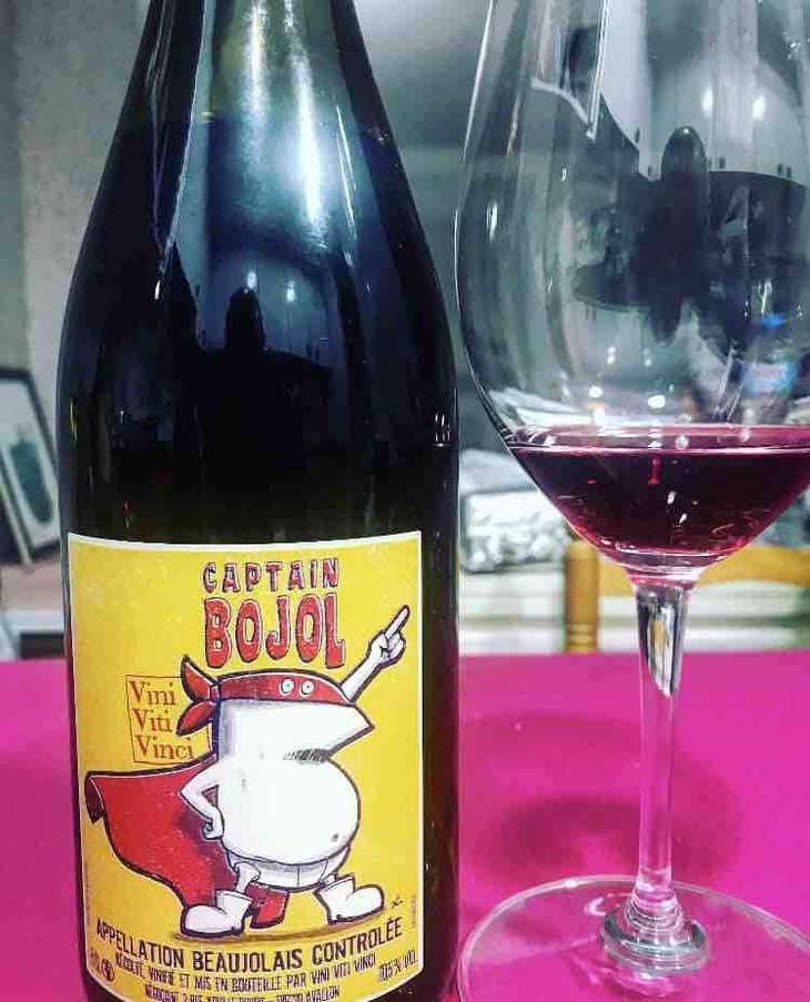 Captain Bojol - Vini Viti Vinci - Nicolas Vauthier "Kikro" 