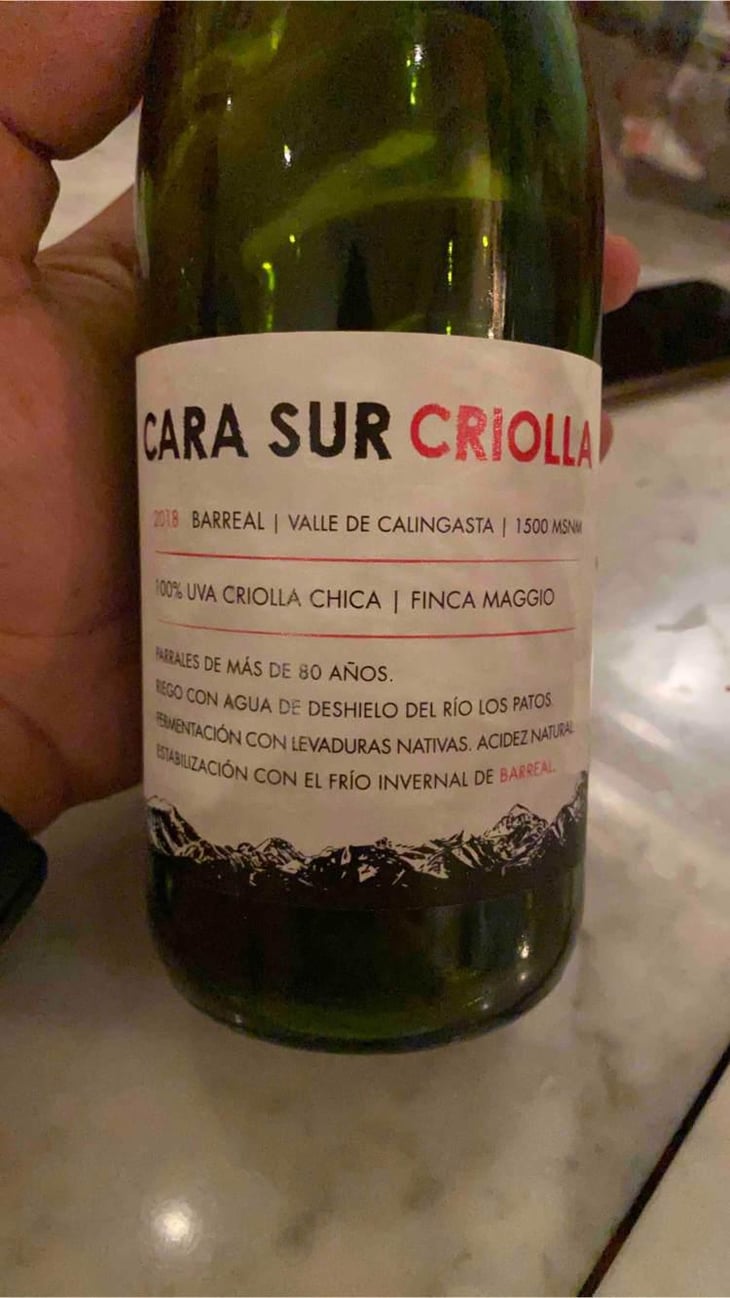Cara Sur Criolla - Cara Sur - Sebastián Zuccardi, Marcela Manini, Nuria Año Gargiulo and Pancho Burgallo, 