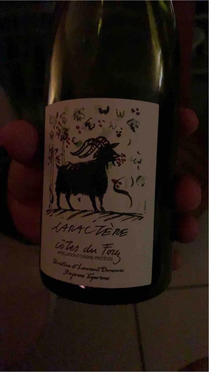 Caractère - Vin & Pic - Laurent & Christine Demeure, Pierre Rolle 