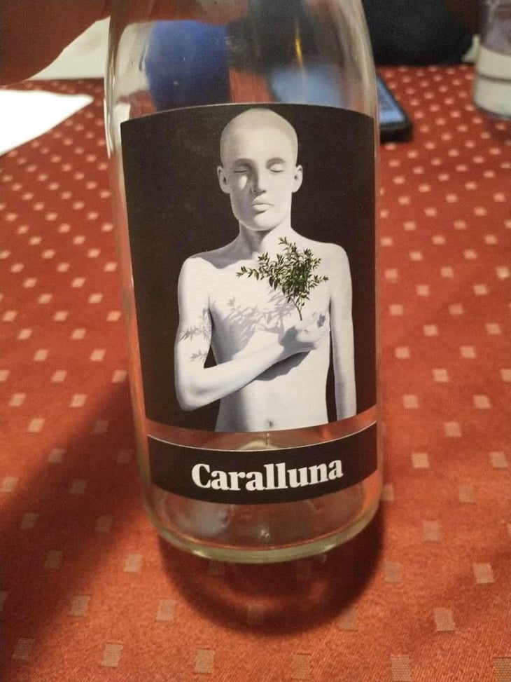Caralluna - Empordà - Mas Patiràs 