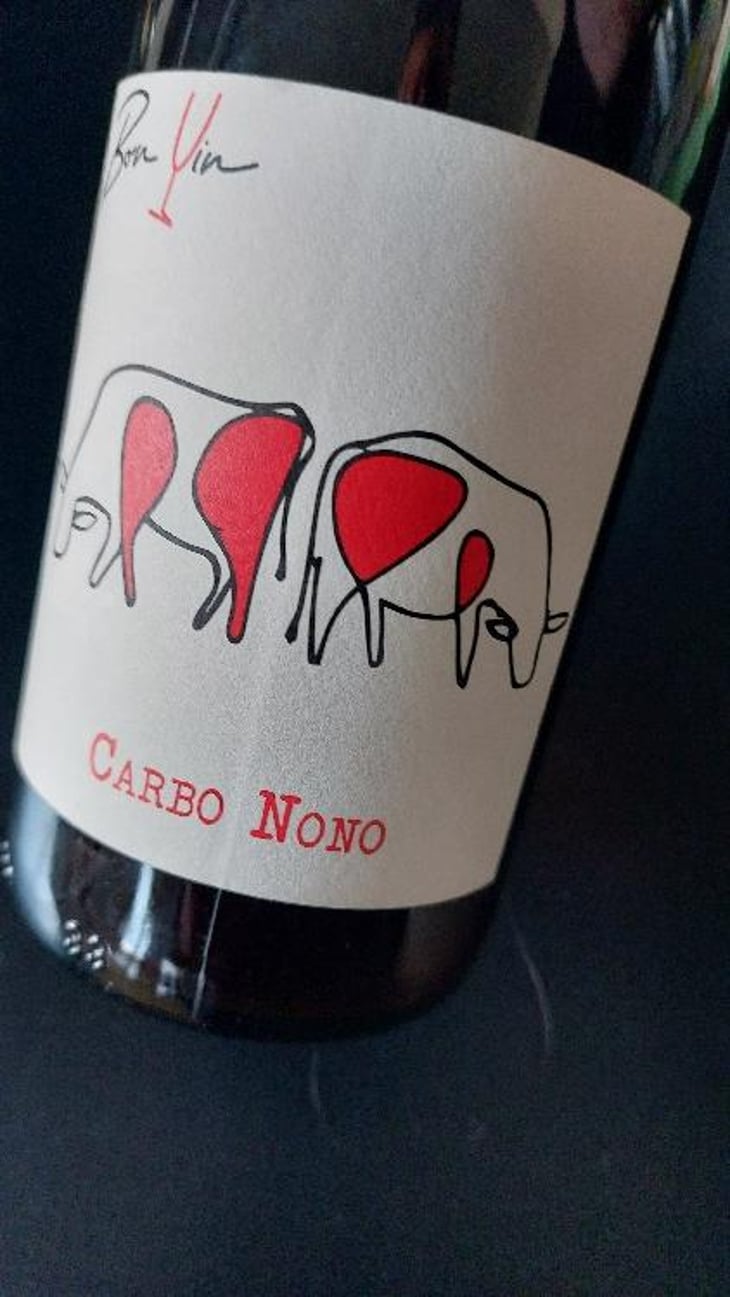 Carbo Nono - Domaine De Bonvin - Manu & Jean-Baptiste Roux 
