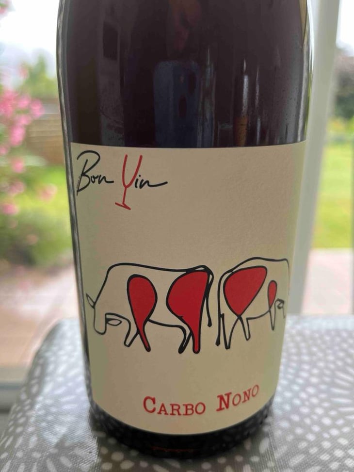 Carbo Nono - Domaine De Bonvin - Manu & Jean-Baptiste Roux 
