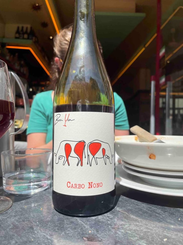 Carbo Nono - Domaine De Bonvin - Manu & Jean-Baptiste Roux 