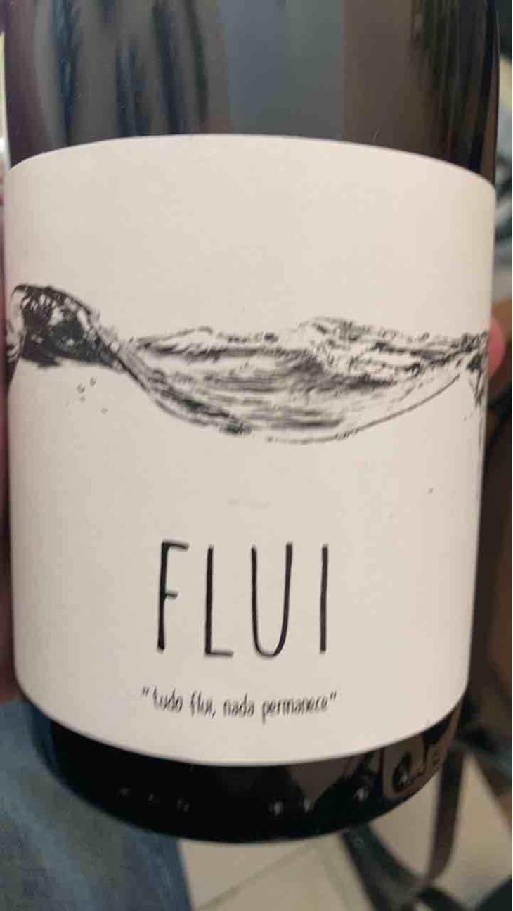 Flui carbônico - Quinta do Paço (Humus) - Rodrigo Filipe -2019