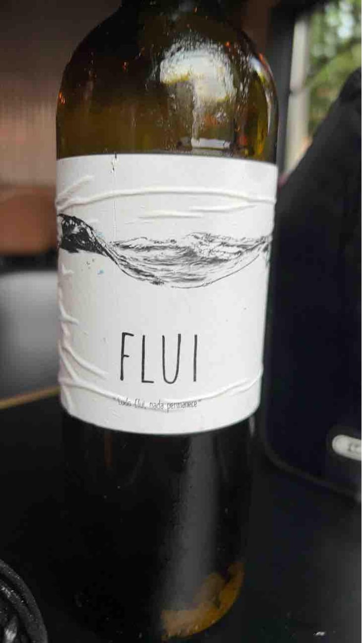 Flui carbônico - Quinta do Paço (Humus) - Rodrigo Filipe -2019