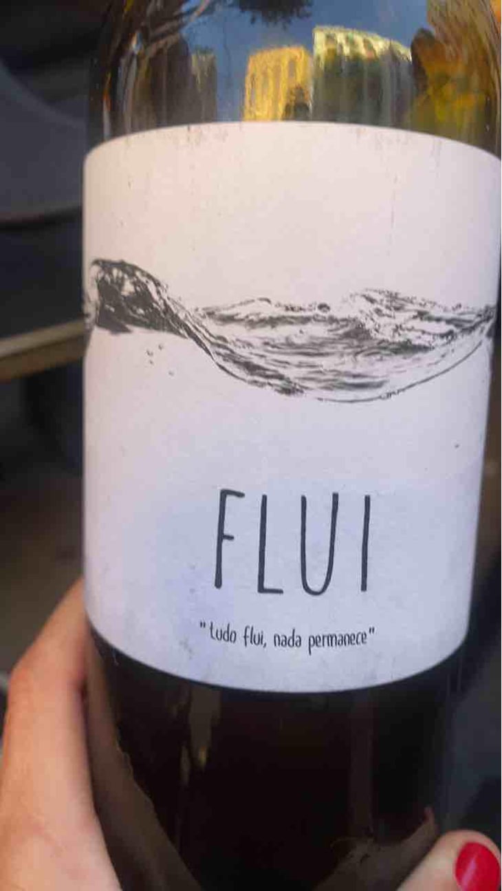 Flui carbônico - Quinta do Paço (Humus) - Rodrigo Filipe -2019