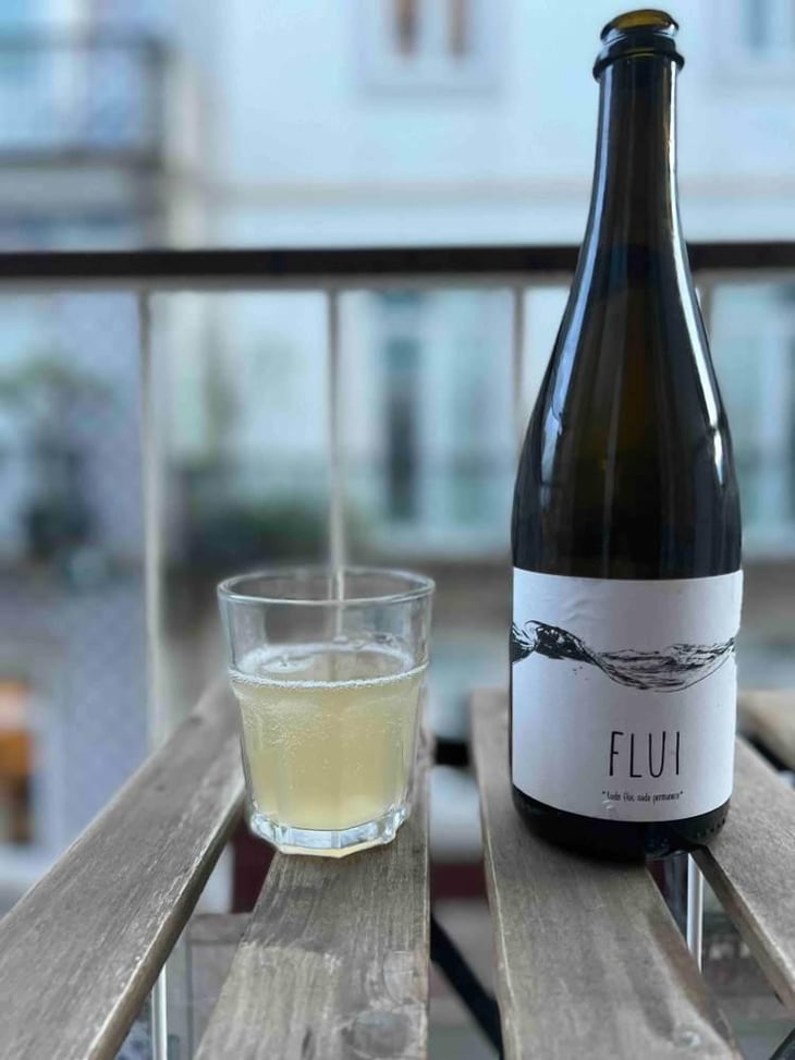 Flui carbônico - Quinta do Paço (Humus) - Rodrigo Filipe -2019