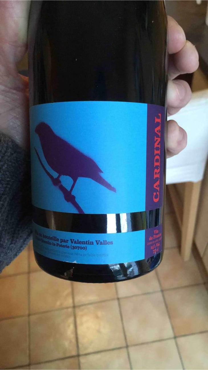 Cardinal - Valentin Valles - Valentin Valles 