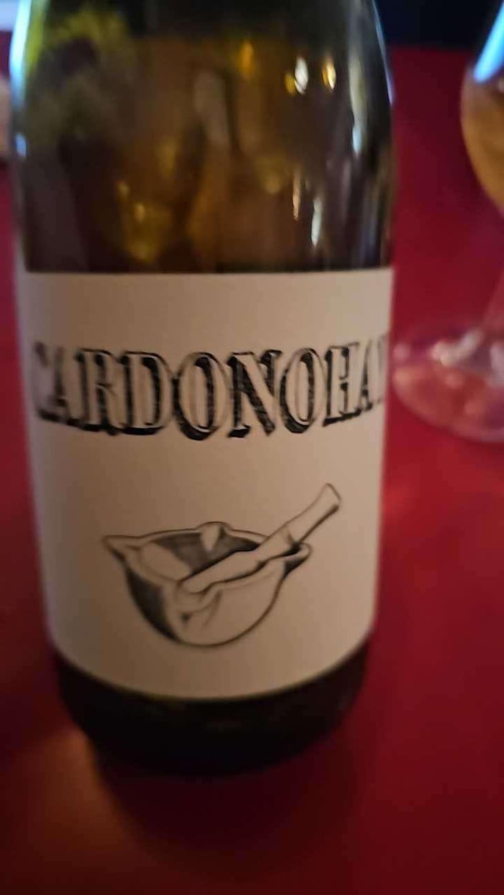 Cardonohay - Barranco Oscuro - Manuel & Lorenzo Valenzuela 