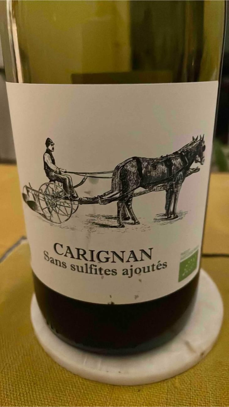 Carignan - Domaine du Clos Roca - Louis Aleman -2020