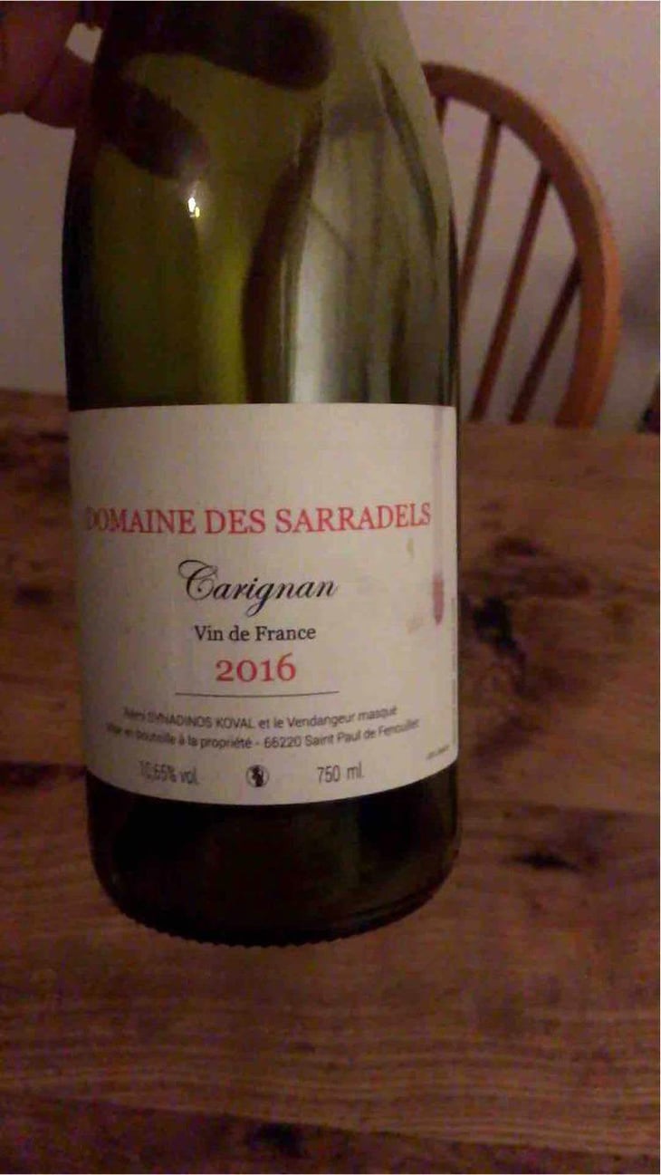 Carignan - Domaine des Sarradels - Rémi Synadinos Koval 