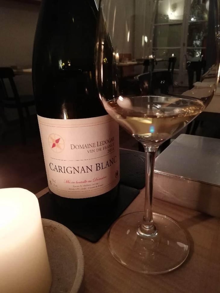 Carignan Blanc - Domaine Ledogar - Xavier, Mathieu & Benoît Ledogar 
