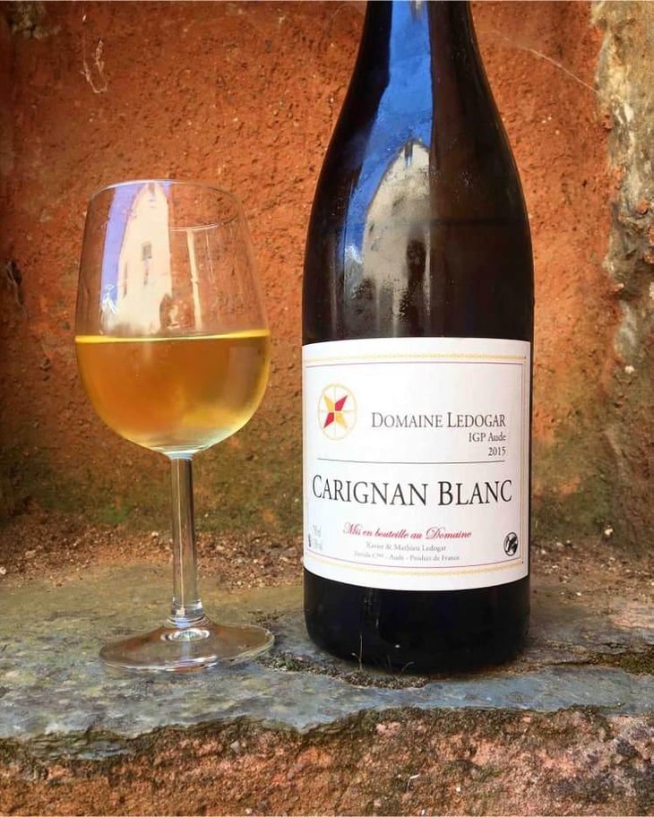 Carignan Blanc - Domaine Ledogar - Xavier, Mathieu & Benoît Ledogar 