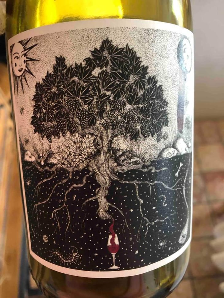 Carignan Radical - Pèira Levada - Alexandre Durand 