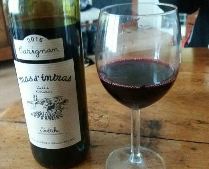 Carignan - Mas D'Intras - Sébastien Pradal & Denis Robert 